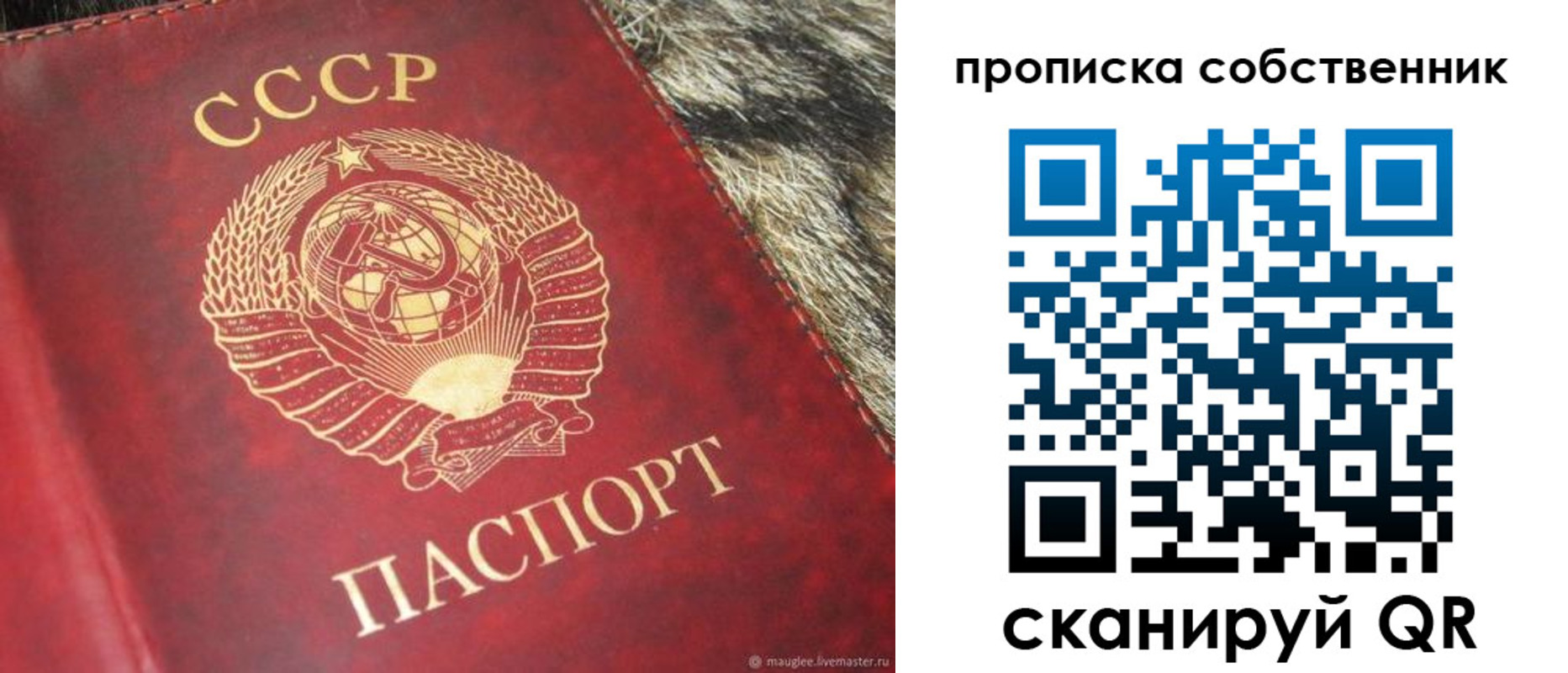 прописка в квартире в Камызяке